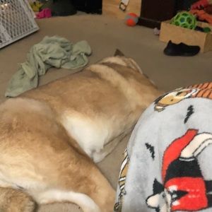 Meet your Posher, Craig